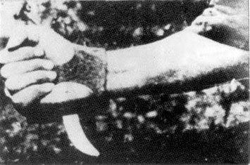Jasenovac11.jpg