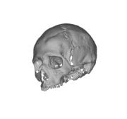 Name:  scanning6.jpg
Views: 1899
Size:  5.3 KB