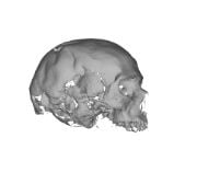 Name:  scanning5.jpg
Views: 1900
Size:  5.7 KB