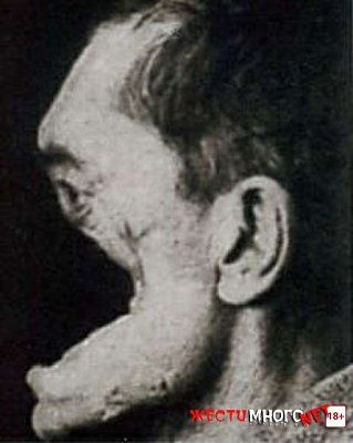 1465557209_2121.jpg
