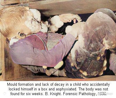 281797d1308417128-accidental-deaths-tcfor0681-Colorized.jpg
