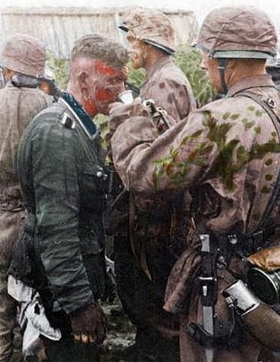 kraut.jpg