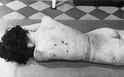 338_170.jpg