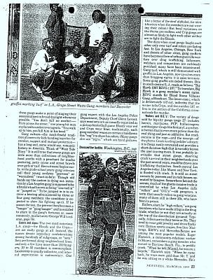 fbi-file-bloods-2.jpg