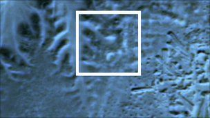 Name:  _52945733_satellite-image-of-pyramid_highlight.jpg
Views: 672
Size:  13.7 KB