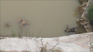 Name:  fishing guy1.jpg
Views: 408
Size:  9.7 KB