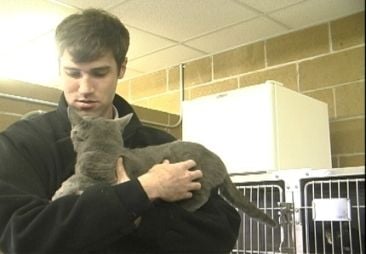dusty&patches1.jpg