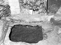 105.jpg