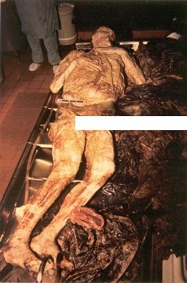 viraldeathkuklinksi276.jpg