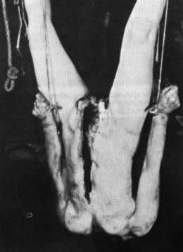 edgein_cuerpo.jpg