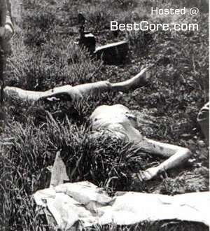 black dahlia10.jpg
