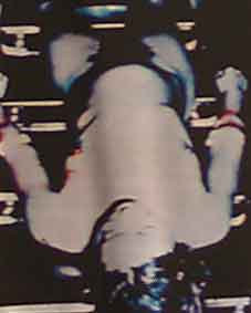 berdella01_small.jpg
