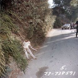 hillside04.jpg