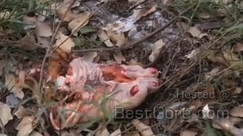 singer-jenni-rivera-death-plane-crash-mexico-04-1.jpg