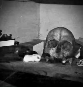 IMG_1784.jpeg