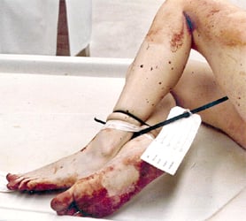 Name:  Ked_res_8_crime_scena_G_SH_a.jpg
Views: 54
Size:  12.7 KB