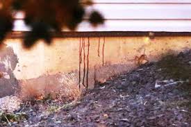 Moscow Idaho Student Quadruple Homicide - images