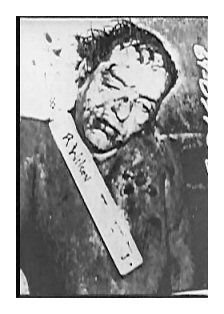 LENODEAD1.jpg