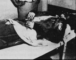 250px-Charles_Whitman's_corpse.jpg