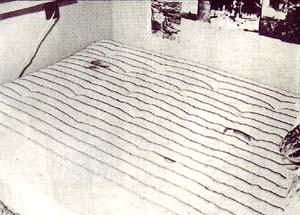 bundybed.jpg