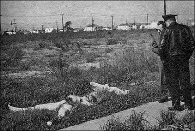 crimescene.jpg