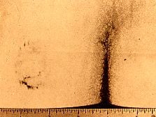bundybitemark.jpg