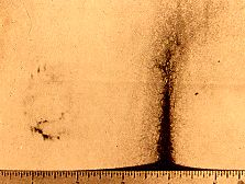 bundybitemark.jpg