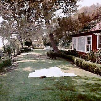 lawn2.jpg