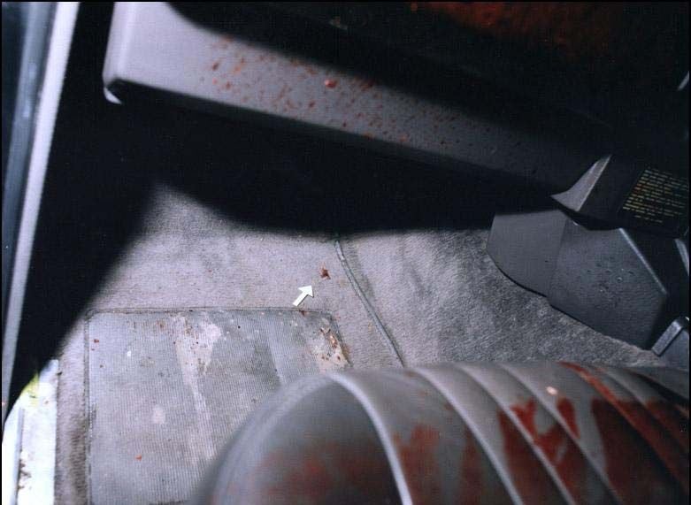 59.jpg