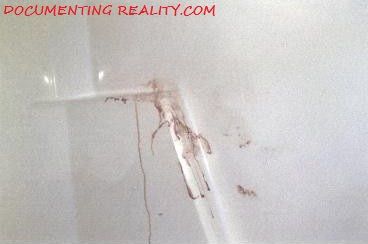 Name:  LemmePhoto_ShowerRail.jpg
Views: 13513
Size:  19.2 KB