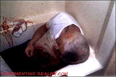 Name:  LemmePhoto_BodyWide_ContrastAdjusted.jpg
Views: 13762
Size:  34.0 KB