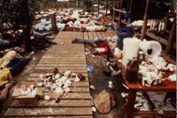 JonestownMassacre.gif