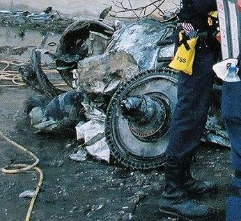 p31.jpg