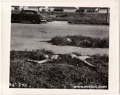 black-dahlia-4.jpg