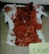shirt.jpg