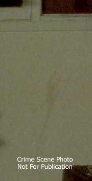 basementwall-print.jpg