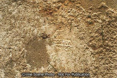footprint2.jpg