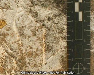 footprint4.jpg