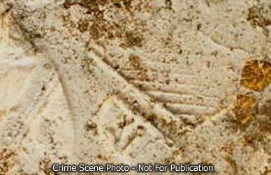footprint3.jpg
