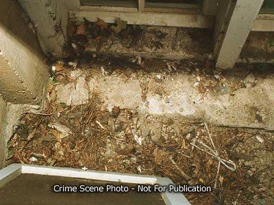 window-basement5.jpg