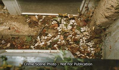 window-basement7.jpg