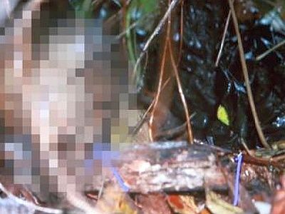 casey_anthony_crime_scene_07.jpg