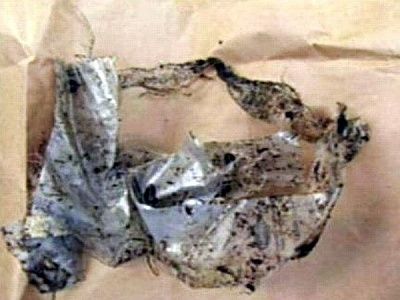 casey_anthony_crime_scene_11.jpg