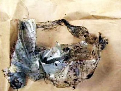 casey_anthony_crime_scene_21.jpg
