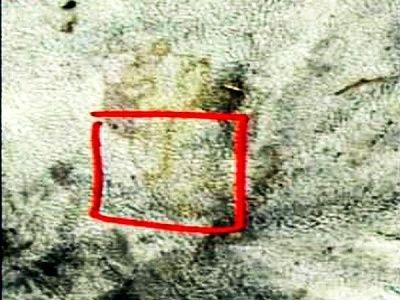 casey_anthony_crime_scene_24.jpg