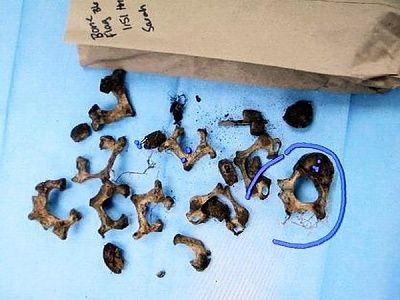 casey_anthony_crime_scene_31.jpg