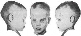 boy%20in%20box%207.jpg