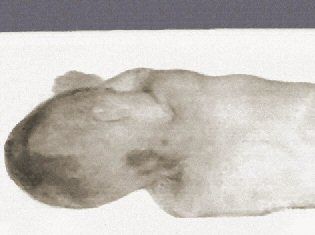 boy%20in%20box%202.jpg