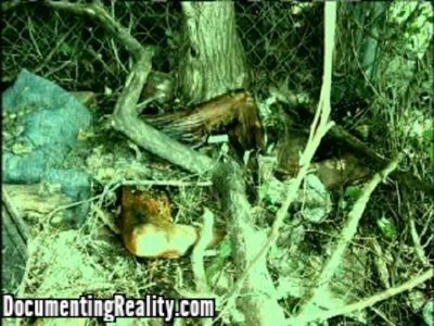 Terry-Blair-Crime-Scene-Images-9.jpg