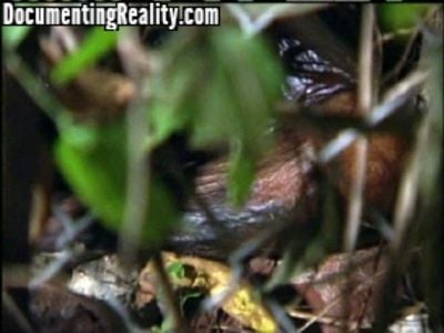 Terry-Blair-Crime-Scene-Images-13.jpg